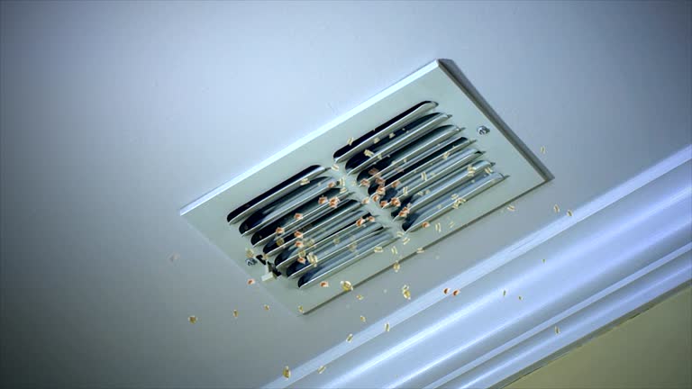 Best Duct Cleaning for Homes  in Meridianville, AL